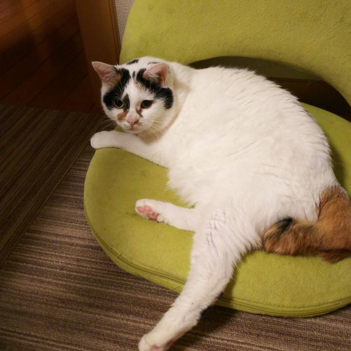 86ac4430 0d6a 4f36 92ce a85751c91f6f