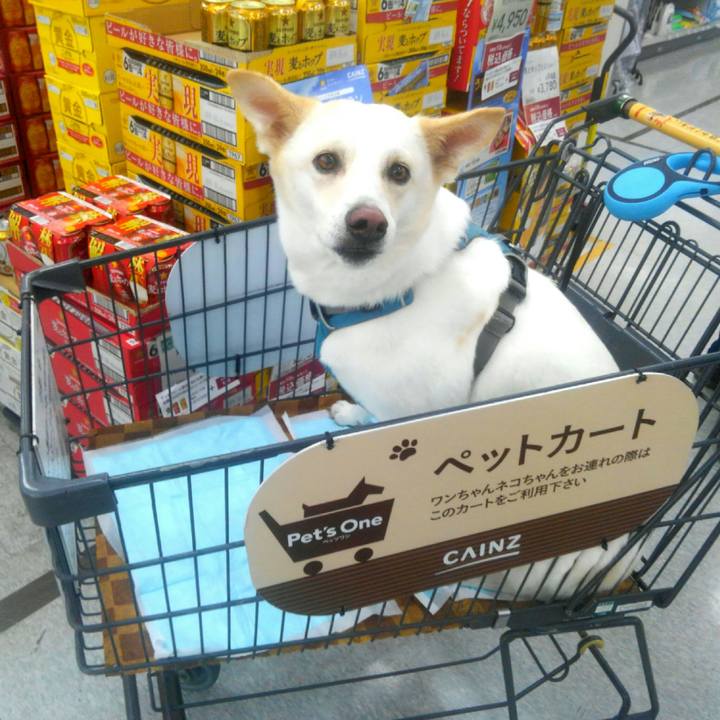 86ac5ea4 8a43 456d 8e1e 05ea25bef74b