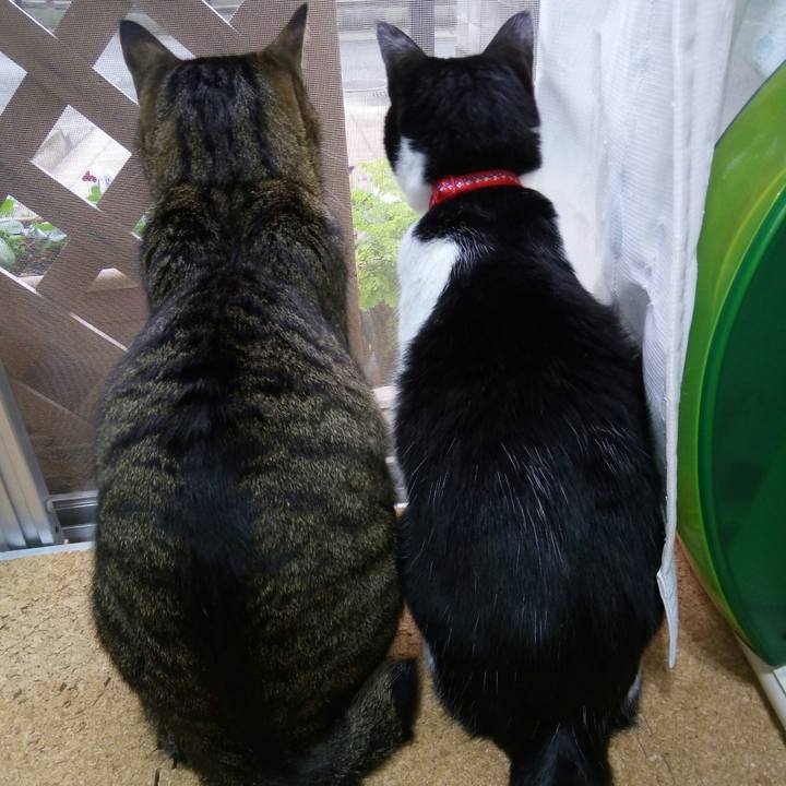 86ac8f4e 0a69 4ee8 8dea f1871898f5ad