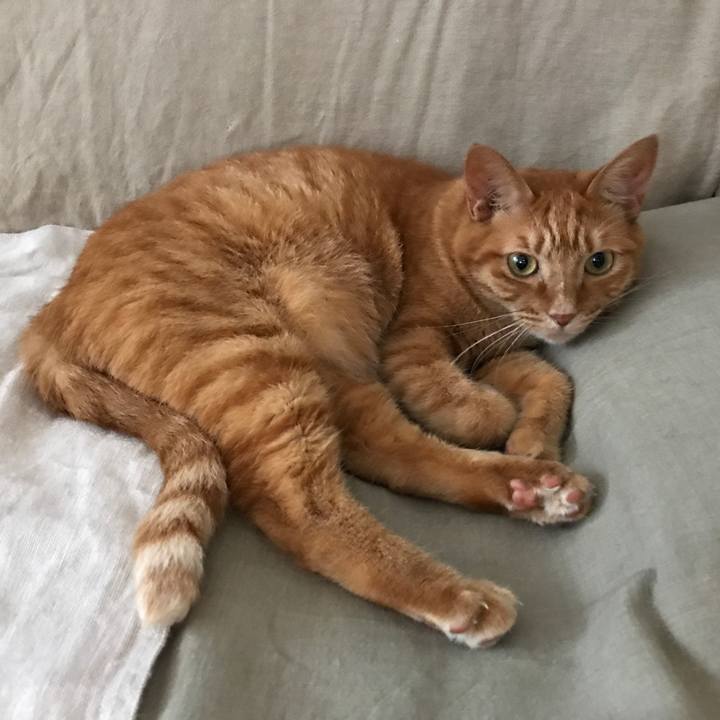 86acb8f6 2cab 43e9 be66 fcb45d64fc09