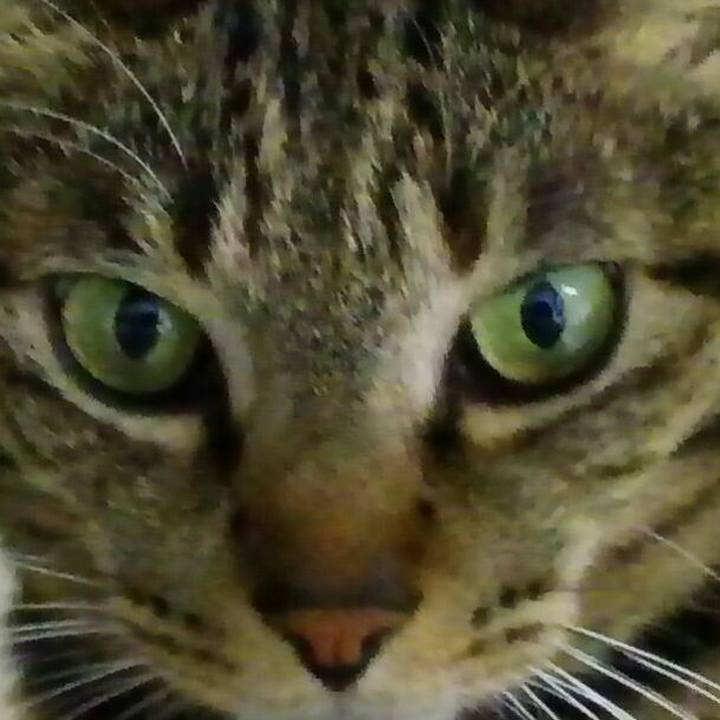 86acc1cd 9df0 47c4 bfe3 2eb663adcee6