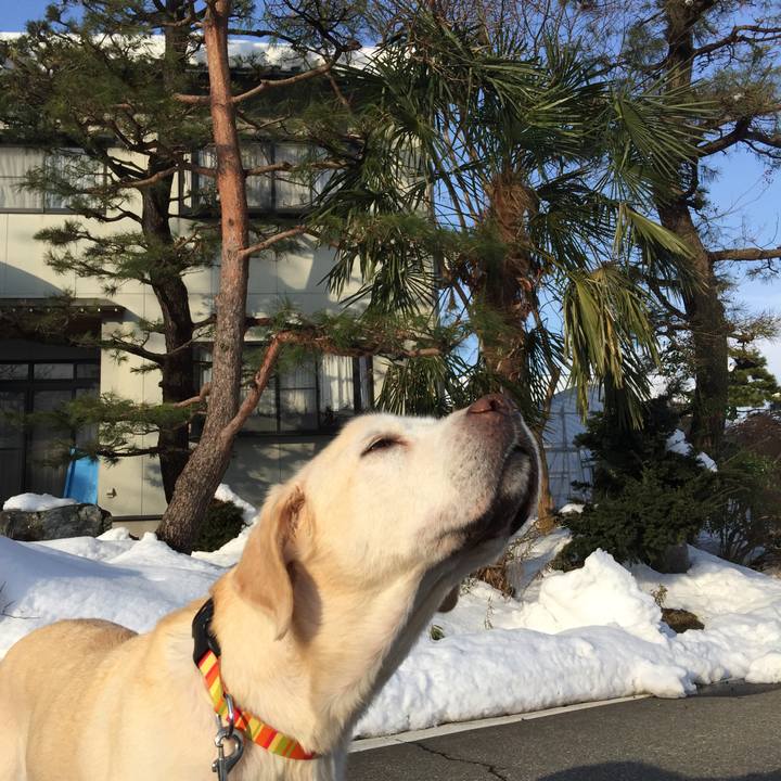 86ae8885 b7fa 4f79 a77d 81d0da0f8b14