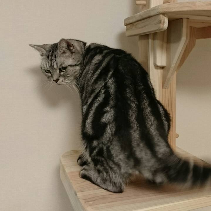 86af19c7 ef39 422f a5ee 74ad0e6041fd