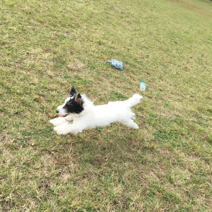 86af913f 9cb8 4b9d 89cc 291bcc82924c