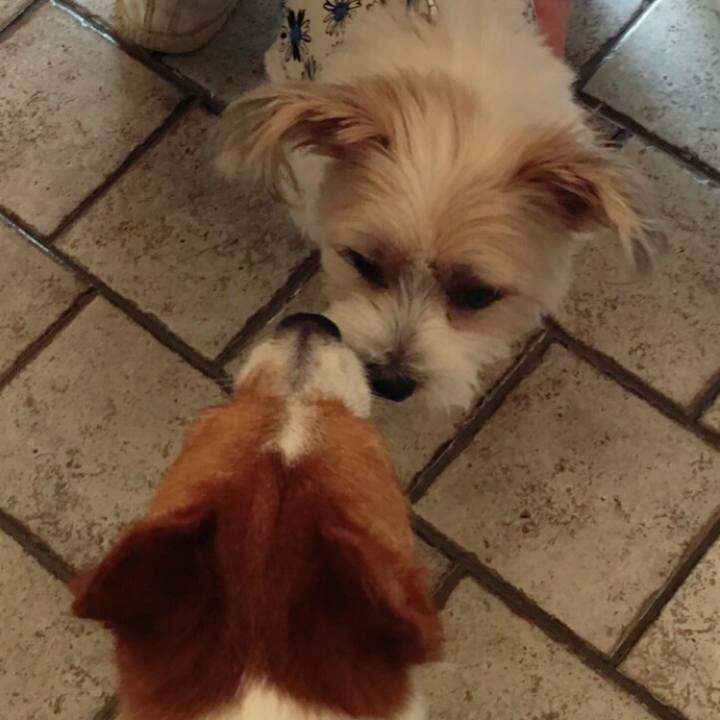 86af962e 8621 4fbe 8a08 991858606713