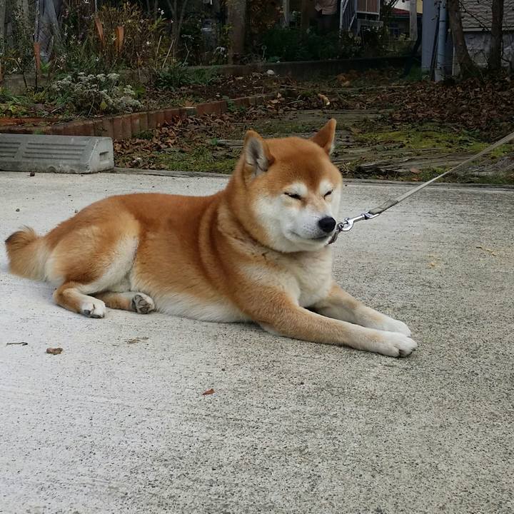 86afc5ce e384 4218 9452 196cc5fdd65f