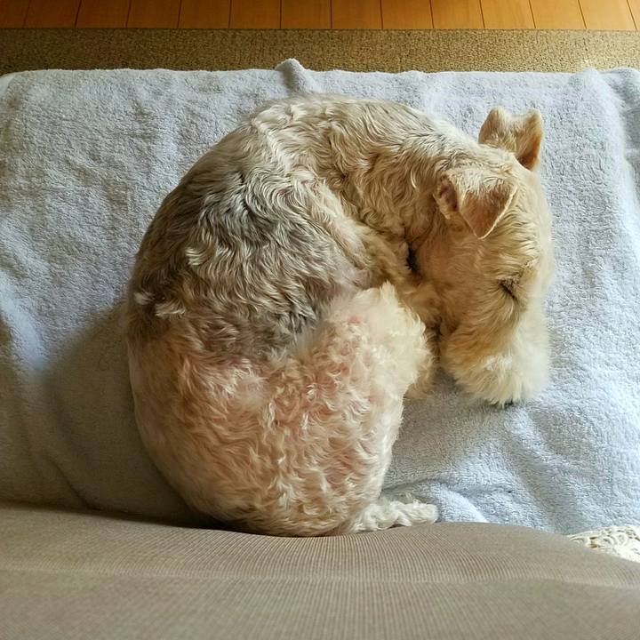 86afdc10 94cd 4276 bf75 485f70305965