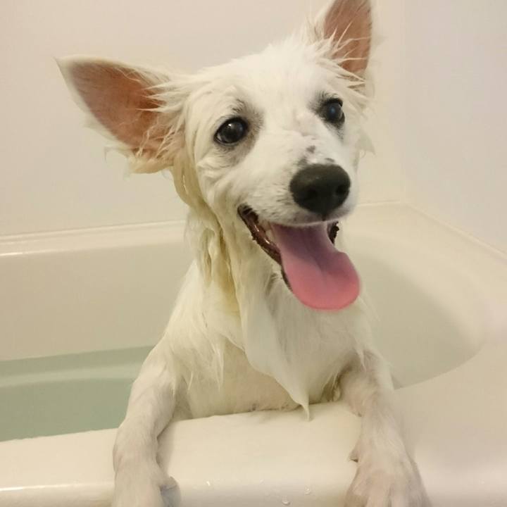 86b04226 a075 4d3b 80e9 8022ccf53e4c