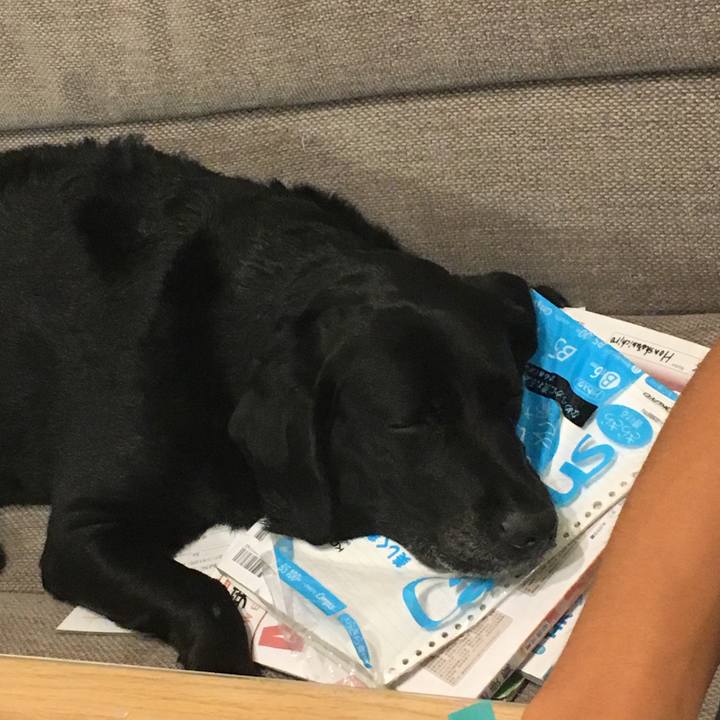 86b17cd3 6da1 4e2f 988c 0a86036ed250