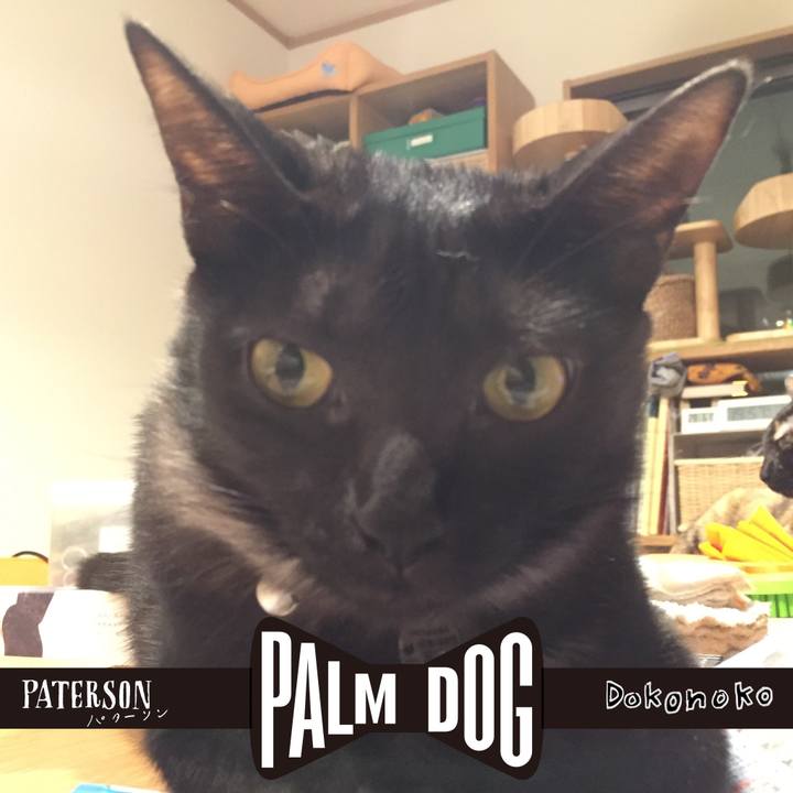 86b18605 925b 4a2d a75a 0693a4baf7d6