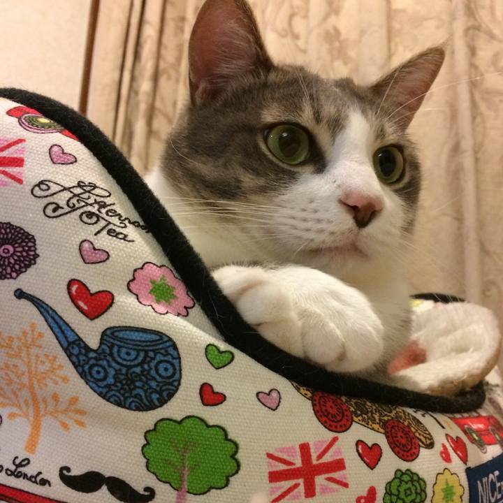 86b18b25 287f 43c9 9588 b7da4a187341