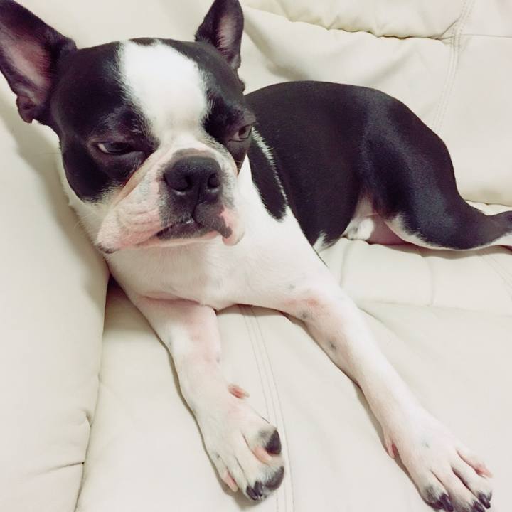 86b21f34 c30b 4a40 85db ad63d06ca3a7