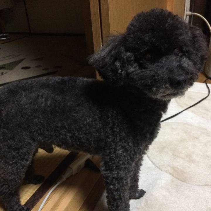 86b224fc 233d 4ce0 8d52 6d0654730f47