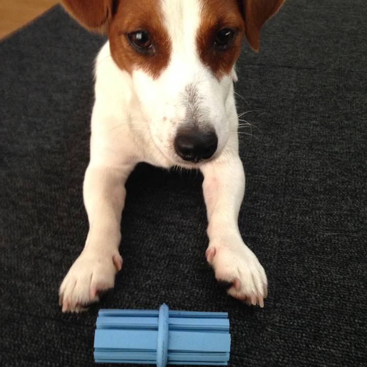 86b22b0c b30b 4bb0 80f6 d7310d3ac2d8