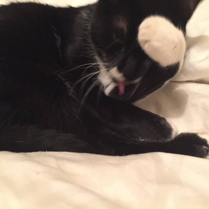 86b290d8 467f 4f7d 9227 f7bd1f8ad79c