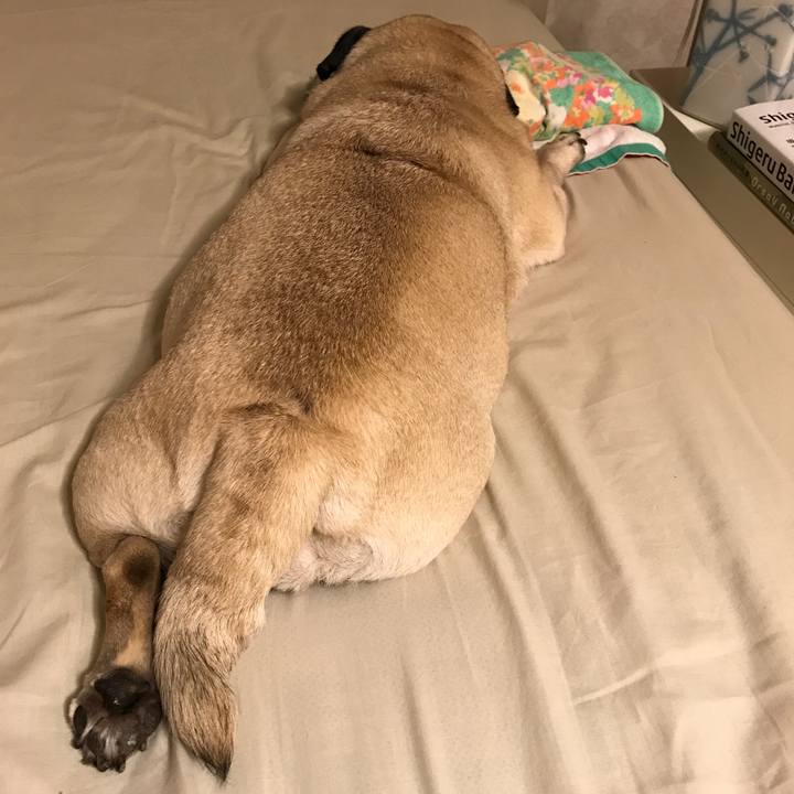 86b296d5 16e4 4c2f a33a 6da4b6b8c4b0