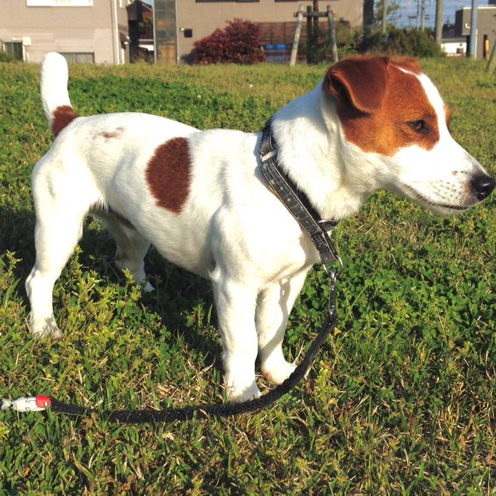 86b2e390 5654 4682 9d5b 87471df5296f