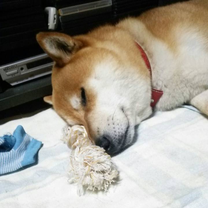 86b34049 d227 4643 9caa bc7e5ab03366