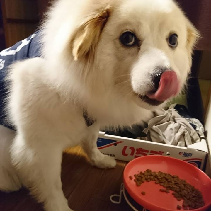 86b3528e de29 4699 a6a4 b1f16340f648