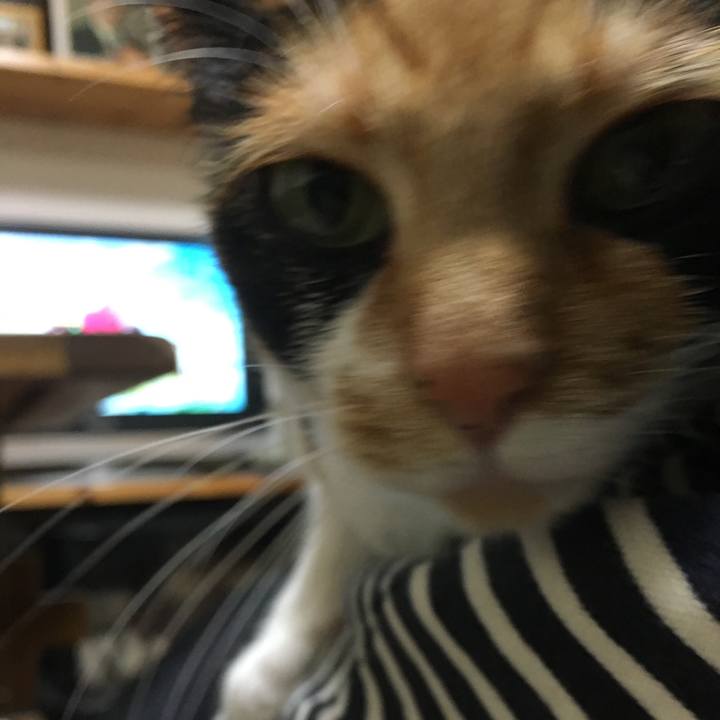 86b35fe7 e311 4b97 a369 5179d777ac6f