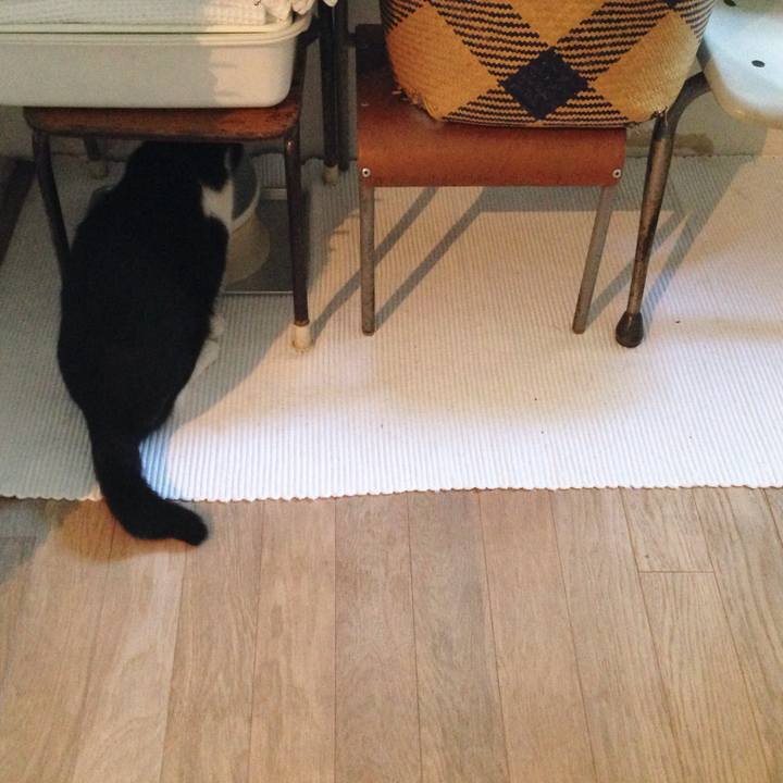 86b3ea9b 25f3 4294 a113 c383a4f3f47a