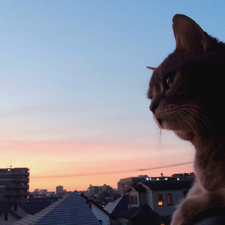 86b43f73 4b66 4a85 aaa7 881e15d8bf95