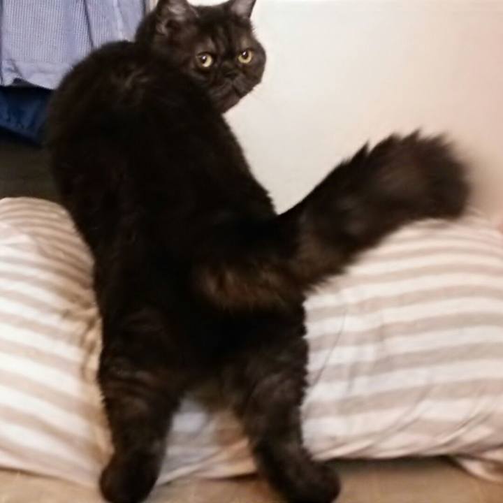 86b47b83 6a34 4c0a b3ec 9d2fa74dd607