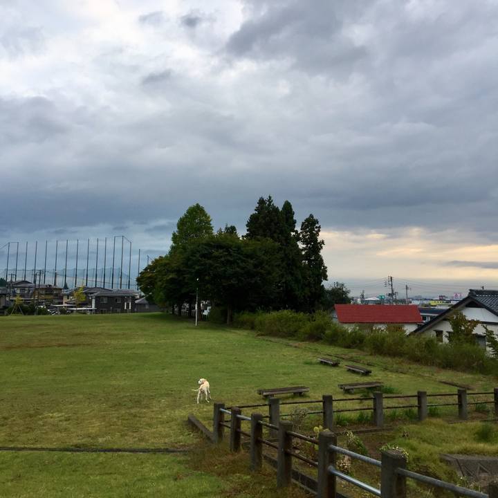 86b4f383 f6e7 472d afc3 39dde41f79da