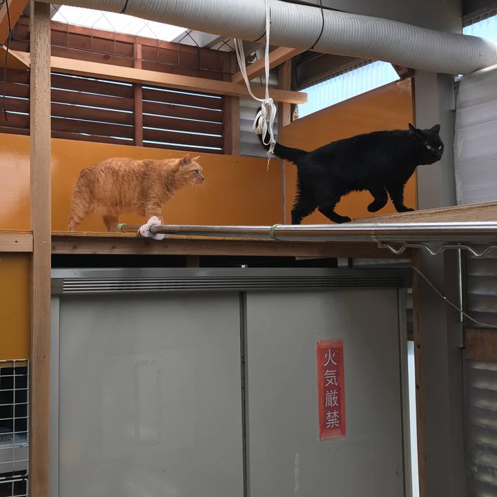 86b57b9f cba1 4983 b224 269a272ffff0