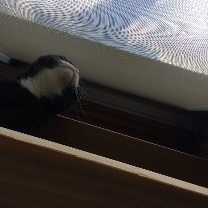 86b61818 ffef 4294 a493 984954c0164a