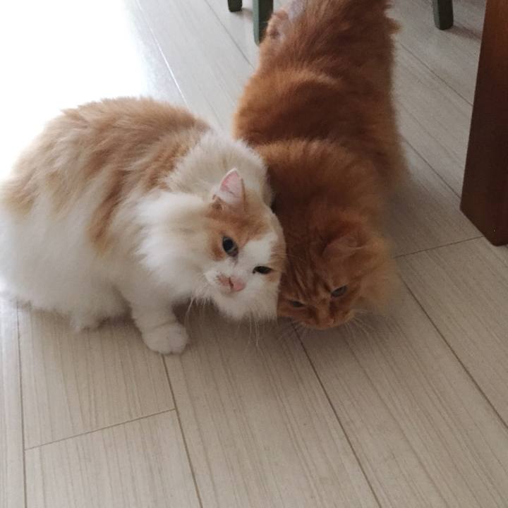 86b65fa2 abb5 458c b1d3 19f6a181c649