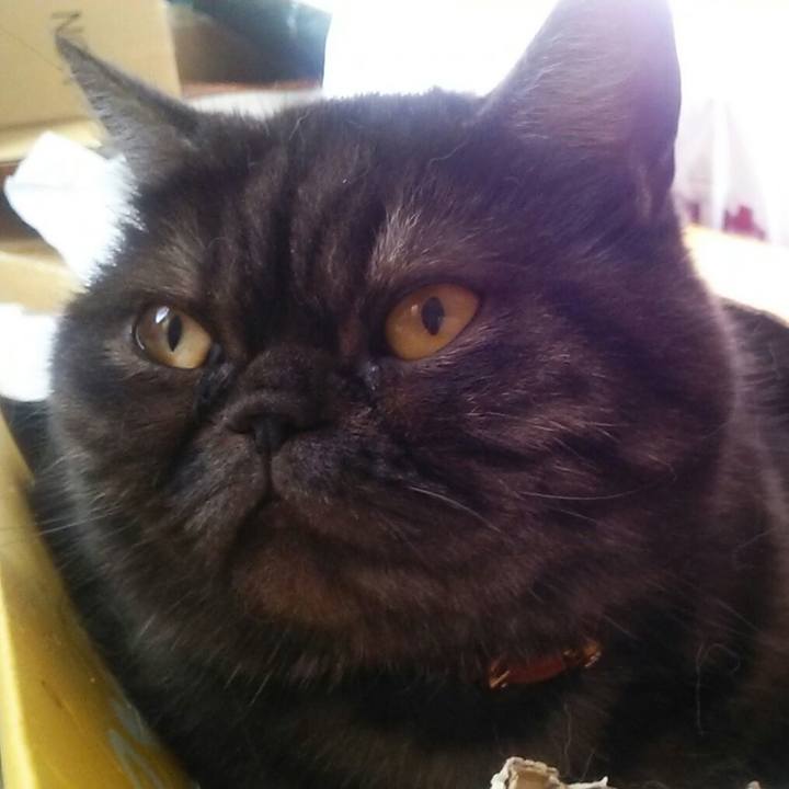 86b6764c f6df 4b4a a794 98b68448e5b6