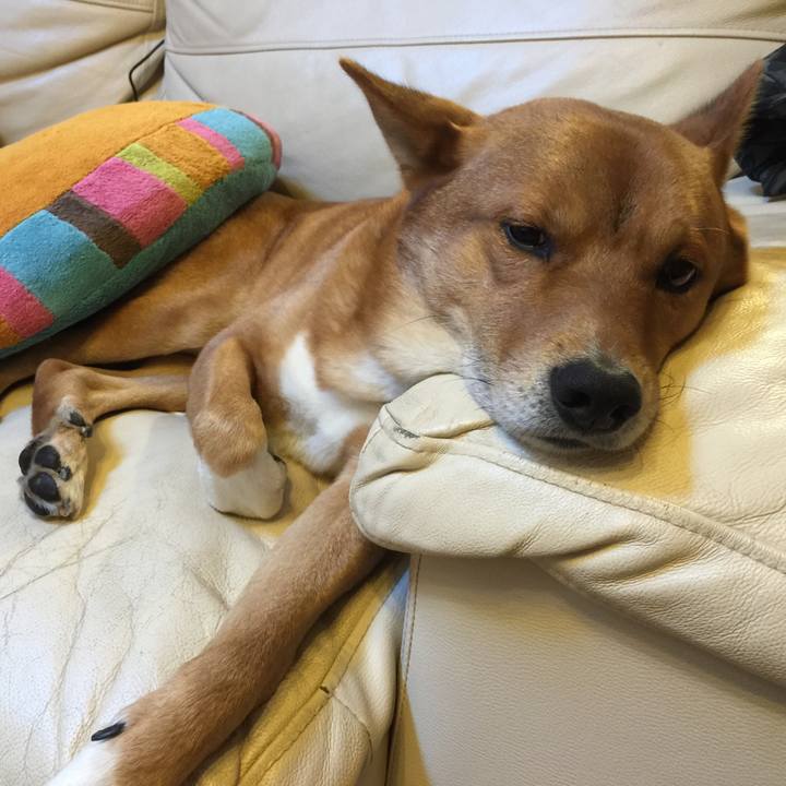 86b6801f 3406 43b7 8e54 c6229c2e1035