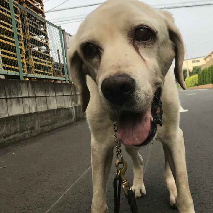 86b693d5 6ace 41cd b199 b63ce9343250