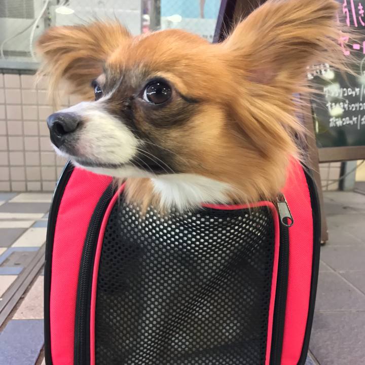 86b69903 6f74 4a4e 881b c4c79dbb0588