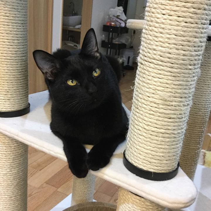 86b764c0 e7d6 49ff ae76 9bb27c31b595