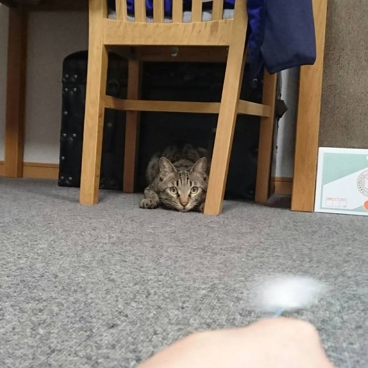 86b76b0b fddf 47fd 8b51 a6f8d8414792