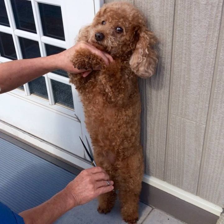 86b8e7c0 022b 4773 9886 bfaf7a3e3bcd