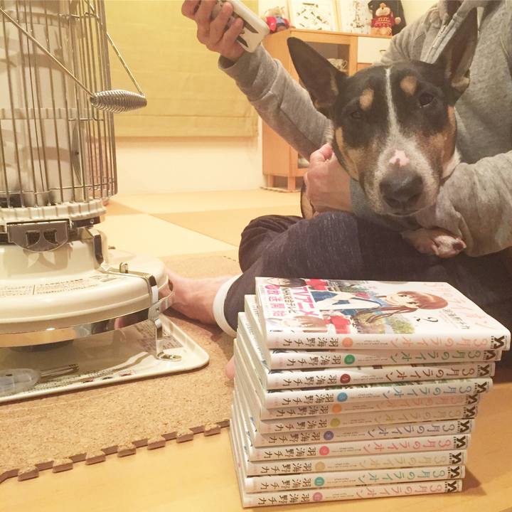 86b9018d a76c 48da 9931 4c1f76dc5620