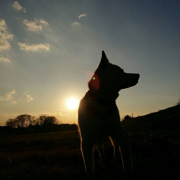 86b9251d 0727 408e 989c 4669f65b84bb