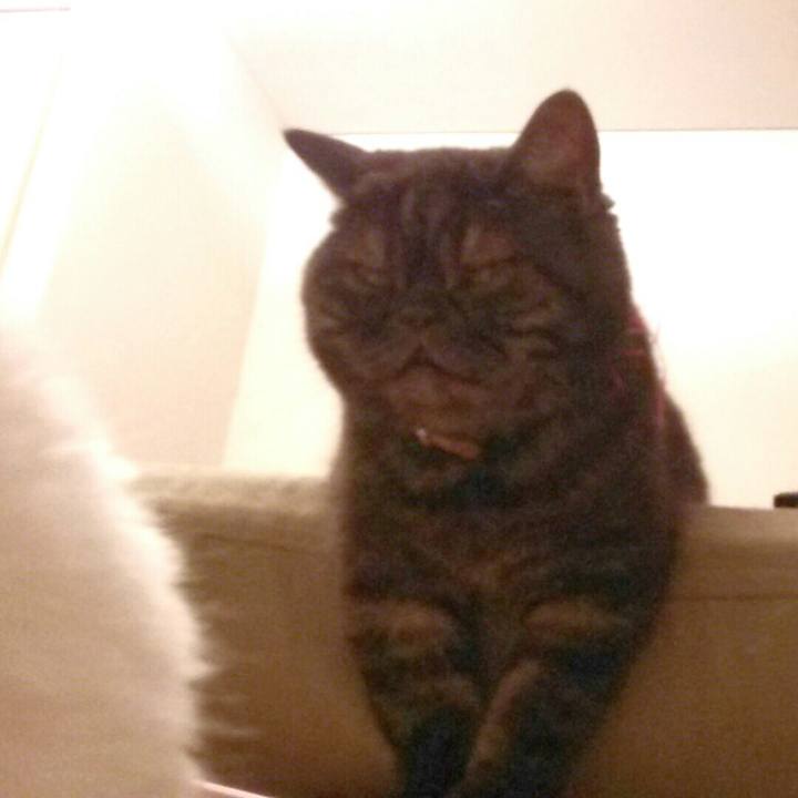 86b92f1c 36f8 424e 91b1 8b907c8fe611