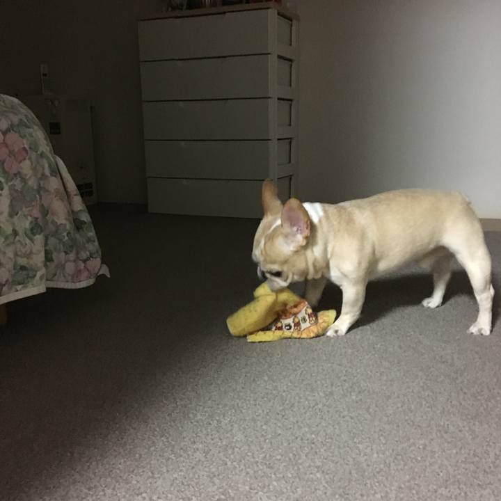 86b93449 7963 4a97 8b28 edfb2551076b