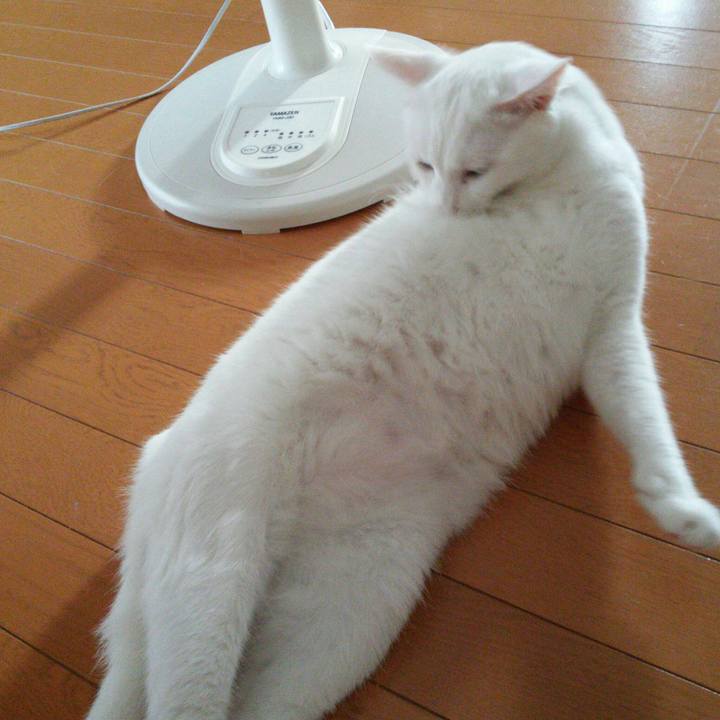 86b93780 9609 4f06 937a f08231f50998