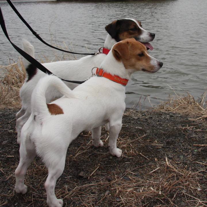 86bacaa4 1754 4f0c 8d99 21d5c6e9483e