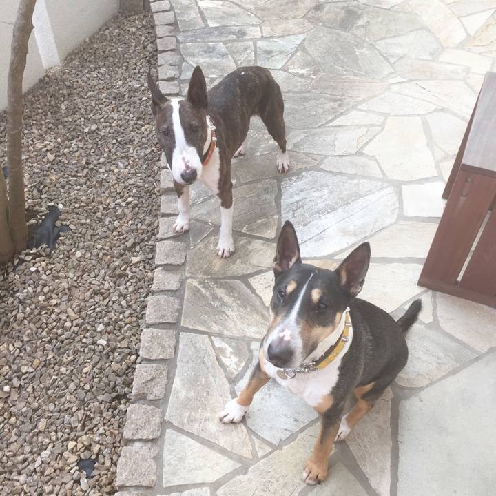 86bad790 0465 4603 b625 52e19957f809