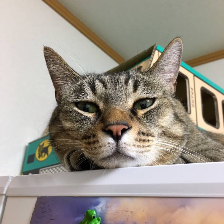 86bb54b2 1442 446f 98f2 22bfd3894126