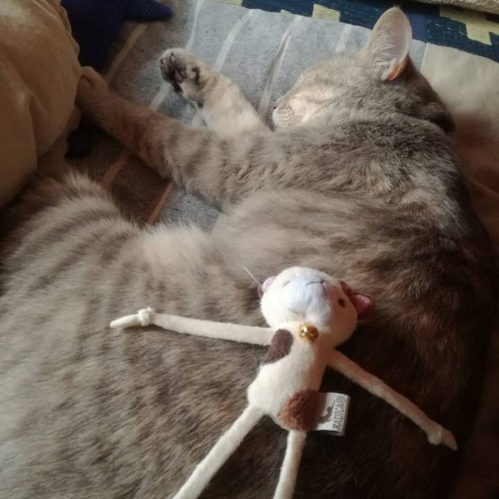 86bbdbb6 0024 4ee9 8deb 6005923ec3cc