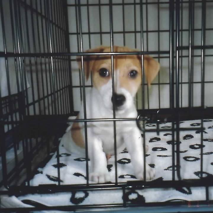 86bbf68e dfa9 4492 83e7 daa86bb92de0