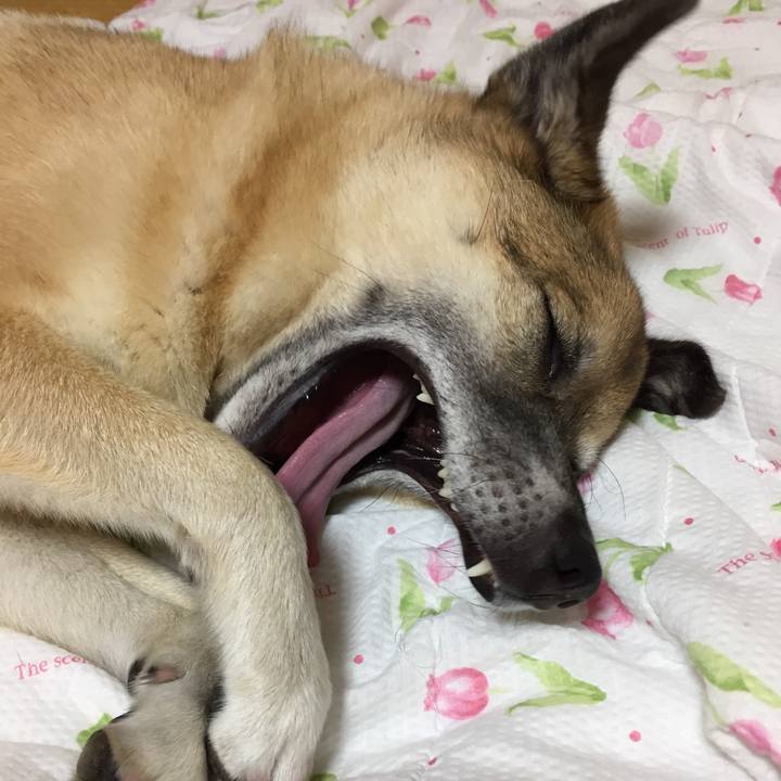 86bd9f16 a391 440c ae1d 635a32bc4a98