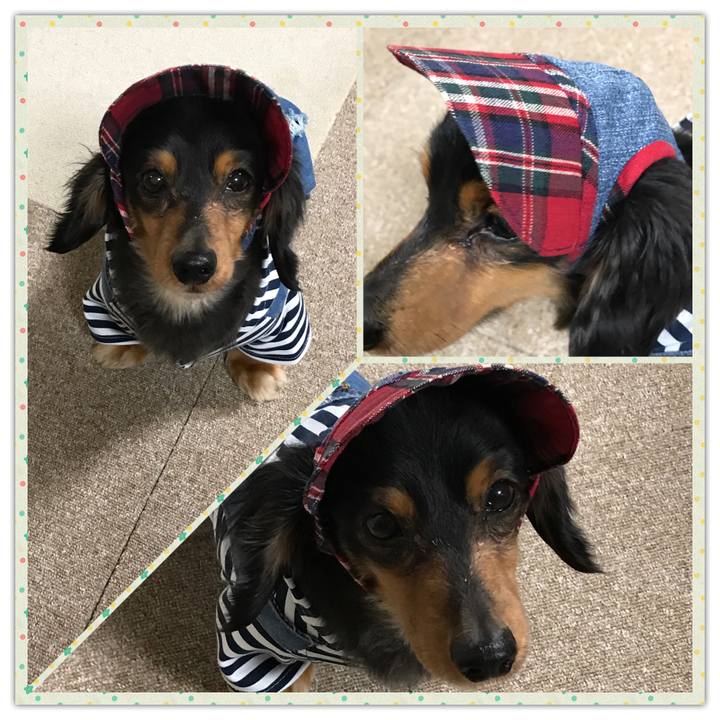 86bda4a4 3ece 4f1f 9a23 d4c54030f2fb